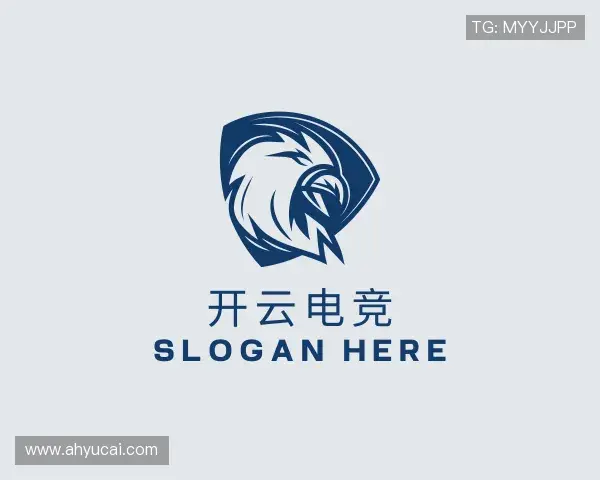 关于开云电竞